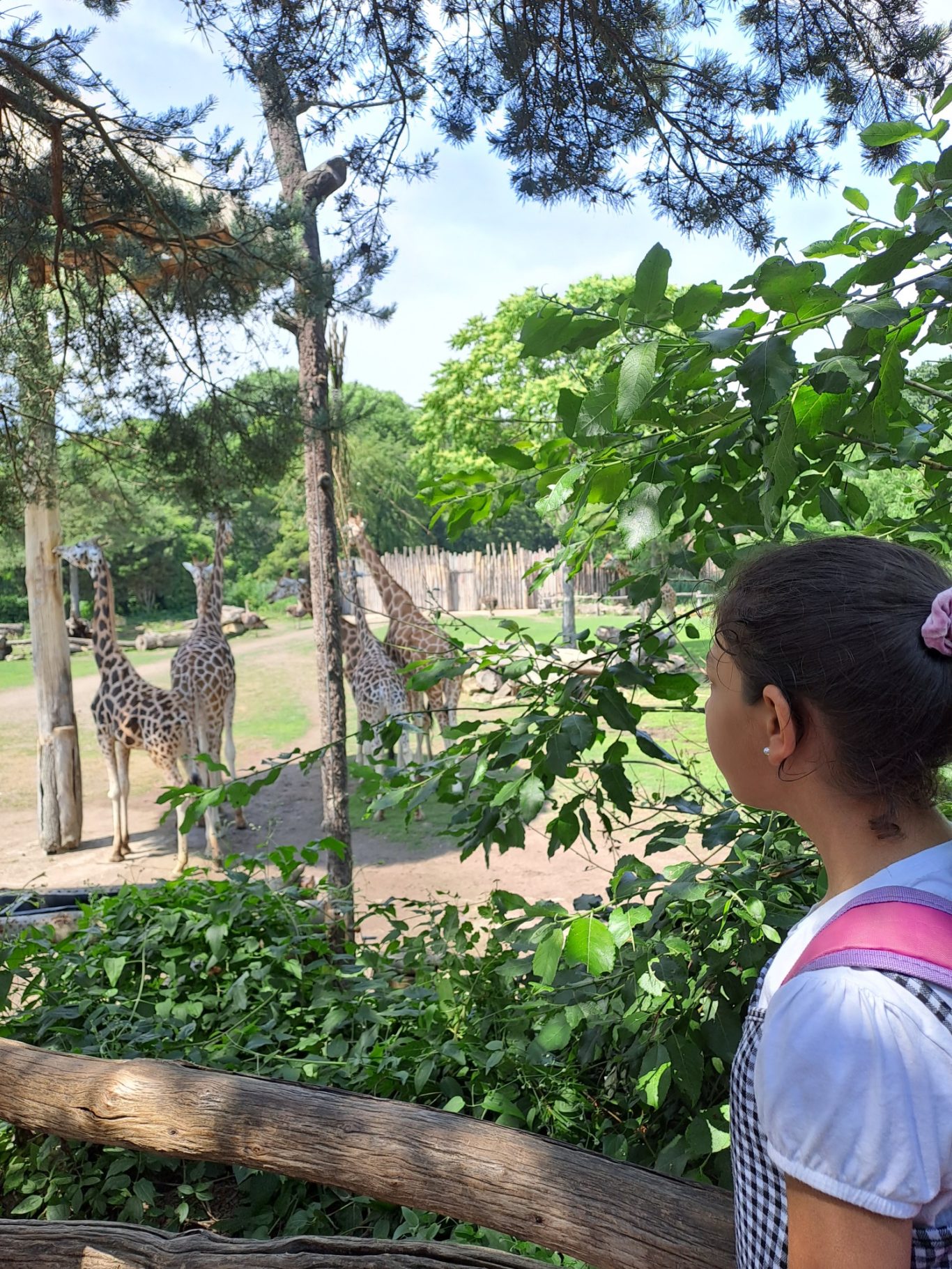 Schulausflug in den Leipziger Zoo 2023