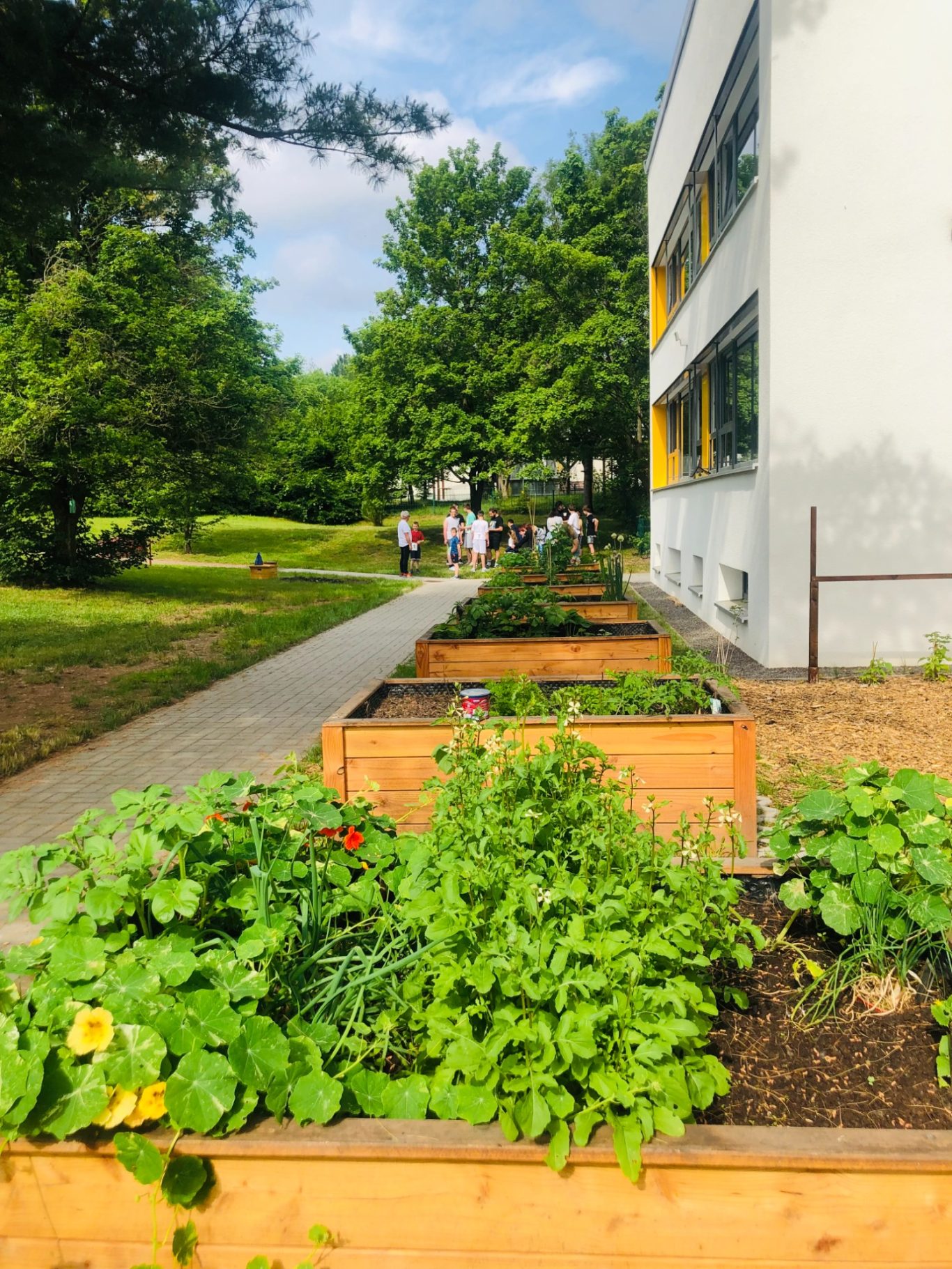 Blick auf die Hochbeete